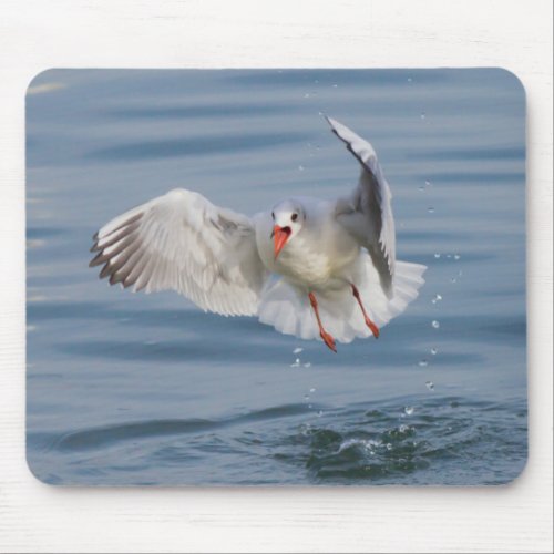 gulls mouse mat