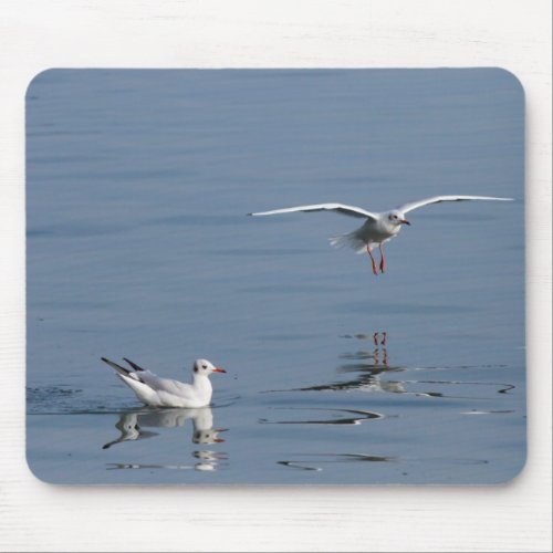 gulls mouse mat