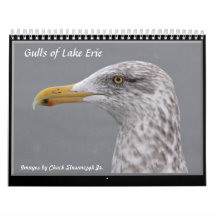 Gulls of Lake Erie Wall Calendar