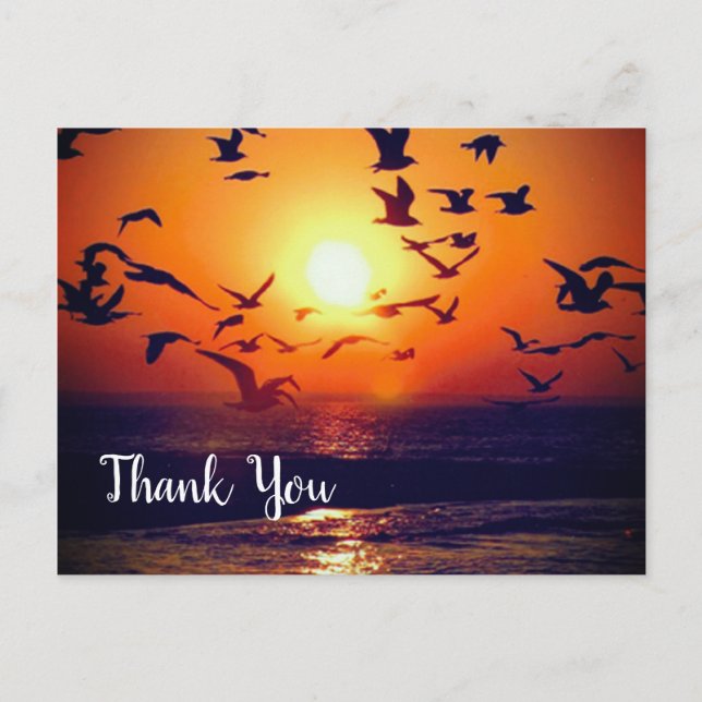 Gulls Silhouetted by Orange Sunset Thank You Postcard (Front)