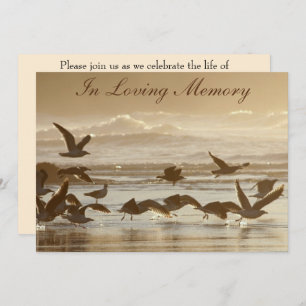 Gulls Taking Flight Memorial Service Announcement