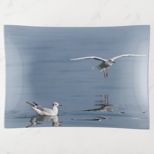 gulls  trinket tray