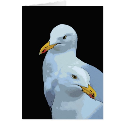 Gulltoon Cards (Front)