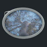 Gum Tree From Below Belt Buckle<br><div class="desc">Photograph of an Australian River Red Gum,  taken from the ground,  looking up at its highest branches. Could have any number of symbolic meanings.</div>