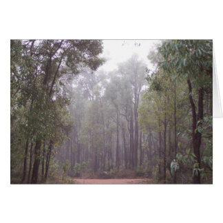 Gum Trees Cards