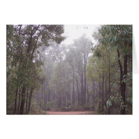 Gum Trees Cards (Front Horizontal)