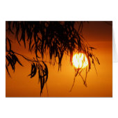 Gumleaf Sunset Card (Front Horizontal)