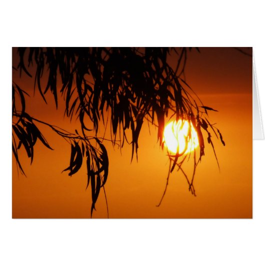 Gumleaf Sunset Card (Front Horizontal)