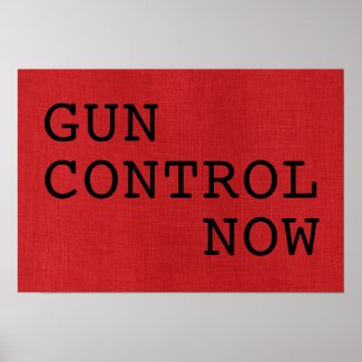 Gun Control Now on Red Linen Photo Protest Sign