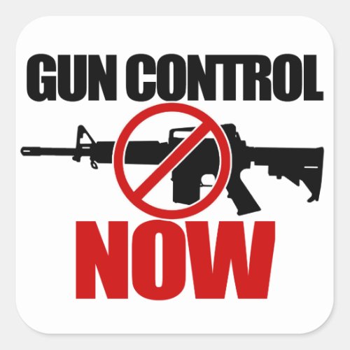 Gun Control NOW Square Sticker