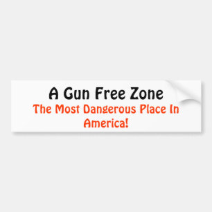 Gun Rights Bumper Sticker