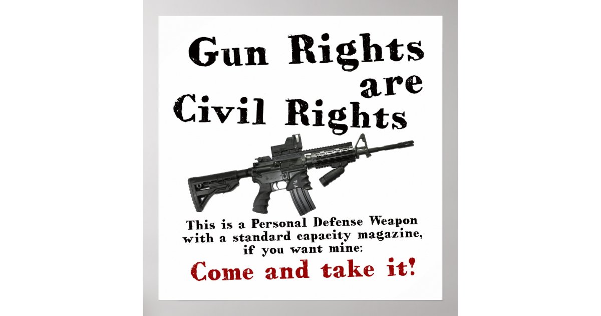 gun rights poster