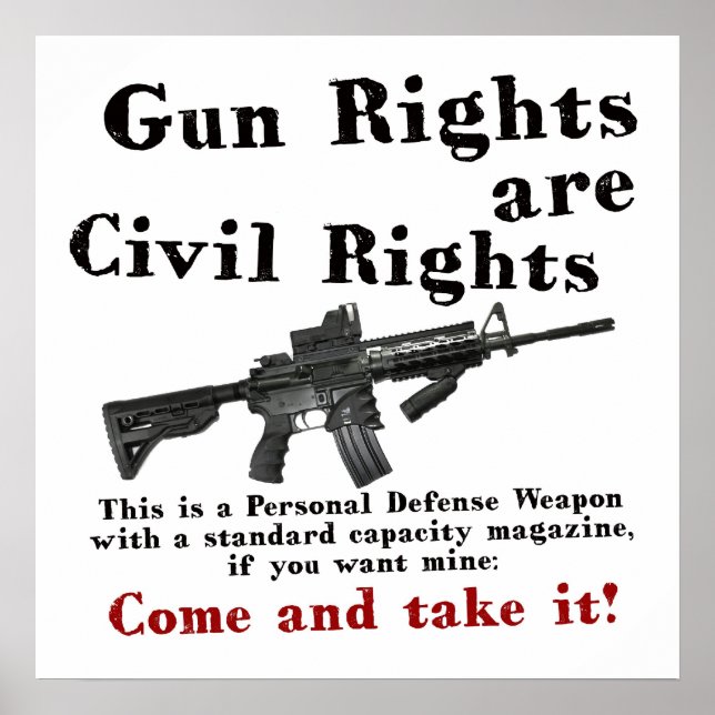 Gun Rights Poster (Front)