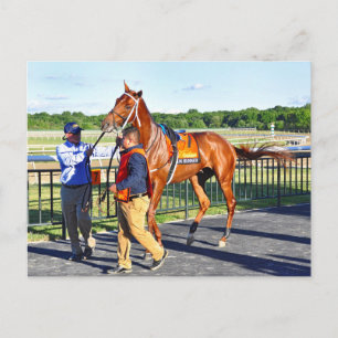 Gun Runner Postcard
