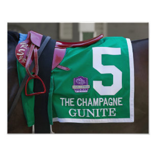 Gunite Saddlecloth Photo Print