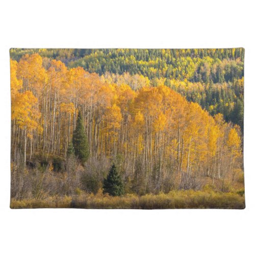 Gunnison National Forest Cloth Placemat