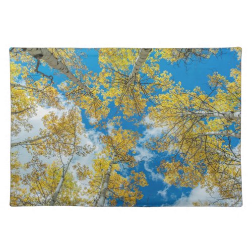 Gunnison National Forest Colorado Cloth Placemat