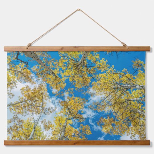 Gunnison National Forest Colorado Hanging Tapestry