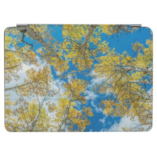 Gunnison National Forest Colorado iPad Air Cover