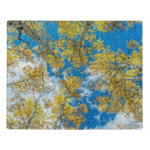 Gunnison National Forest Colorado Jigsaw Puzzle