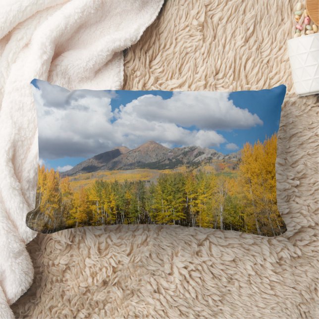 Gunnison National Forest, Colorado Lumbar Pillow (Blanket)