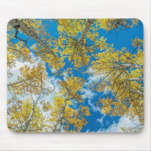 Gunnison National Forest Colorado Mouse Pad