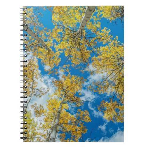 Gunnison National Forest Colorado Notebook