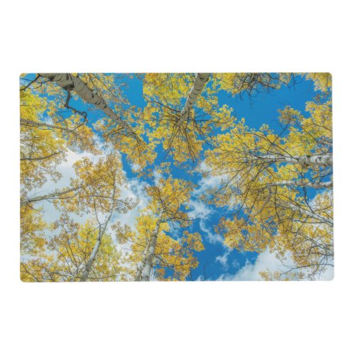 Gunnison National Forest Colorado Placemat