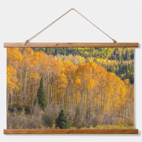 Gunnison National Forest Hanging Tapestry