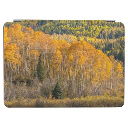 Gunnison National Forest iPad Air Cover