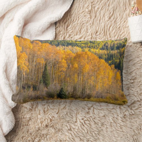 Gunnison National Forest Lumbar Pillow