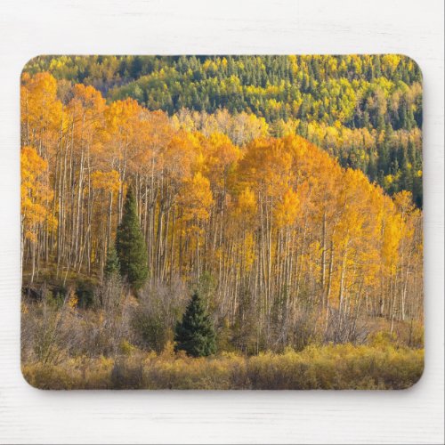 Gunnison National Forest Mouse Pad