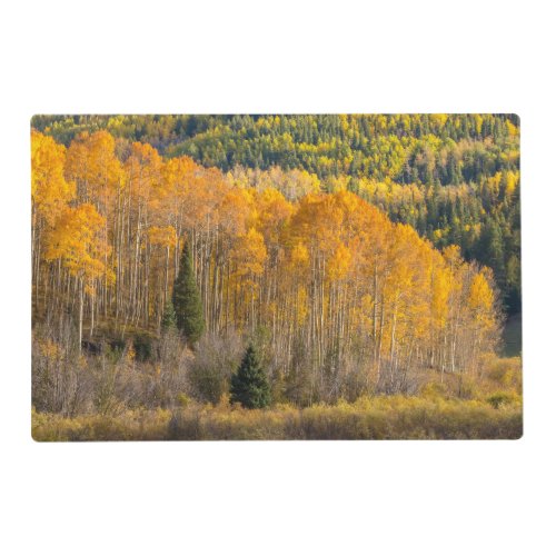 Gunnison National Forest Placemat
