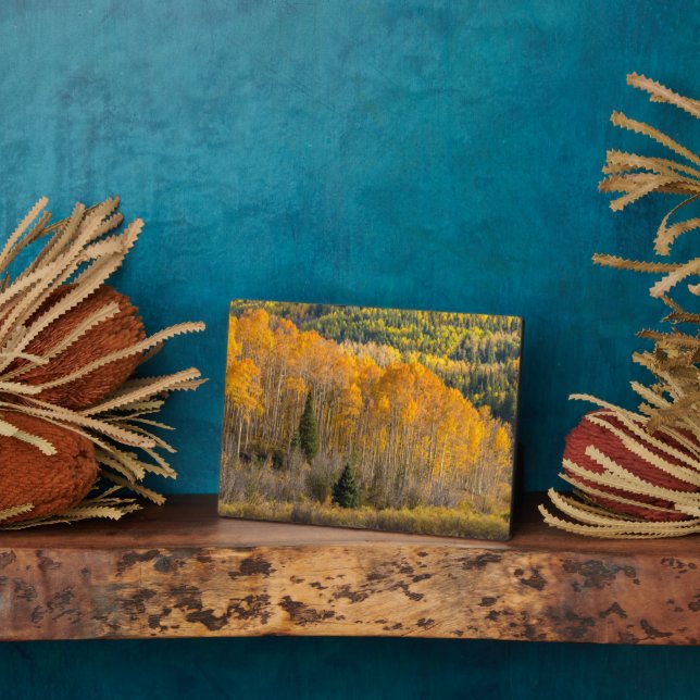 Gunnison National Forest Plaque (Side)