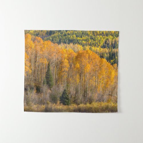 Gunnison National Forest Tapestry