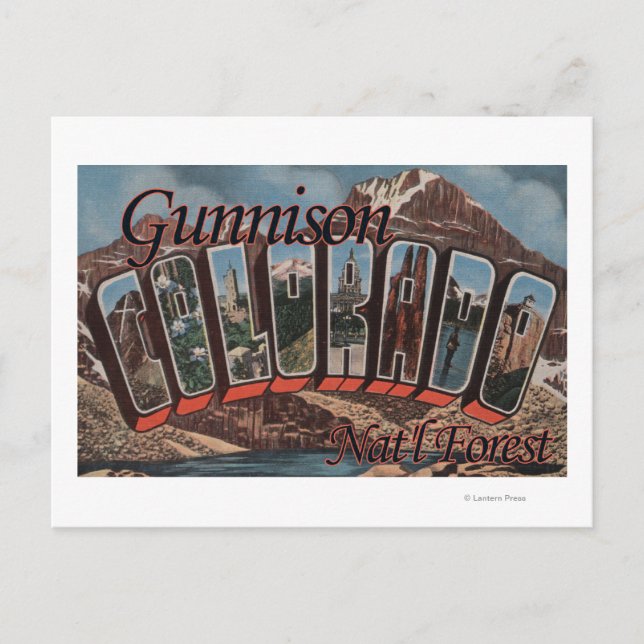 Gunnison Nat'l Forest, Colorado Postcard (Front)
