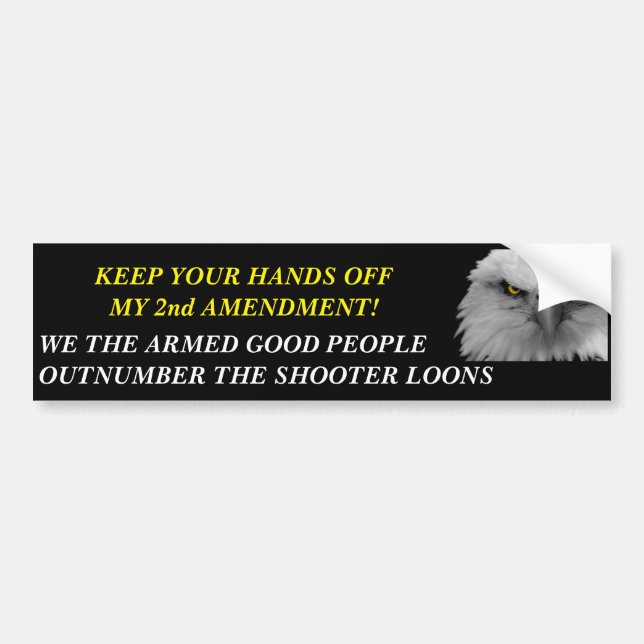 GUNS BUMPER STICKER (Front)