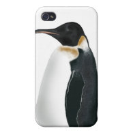 Gunter the Penguin iPhone 4 Covers