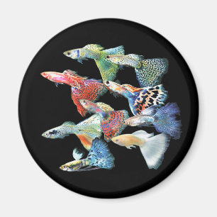 Guppies Magnet