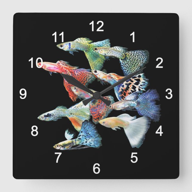 Guppies Square Wall Clock (Front)