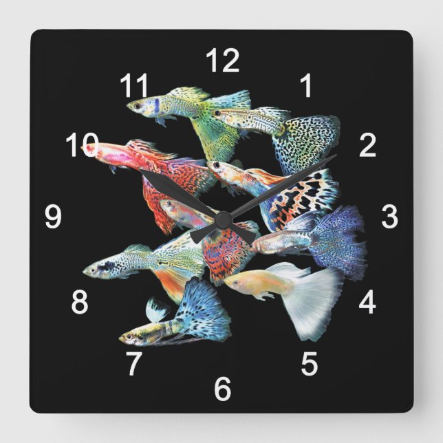 Guppies Square Wall Clock (Front)