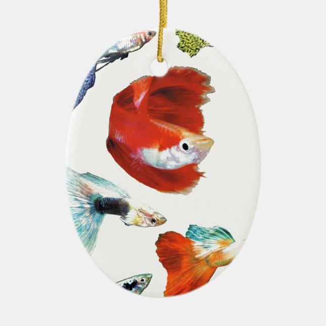 Guppy goods ceramic ornament (Front)