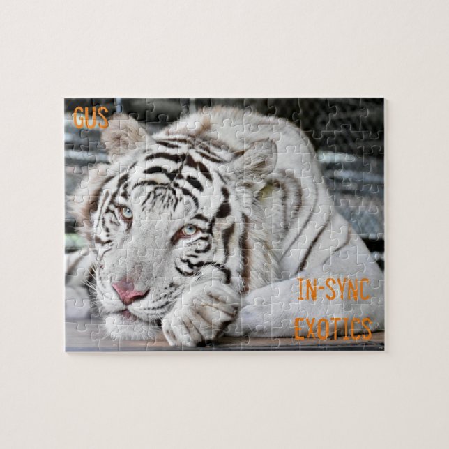 Gus - jigsaw puzzle (Horizontal)