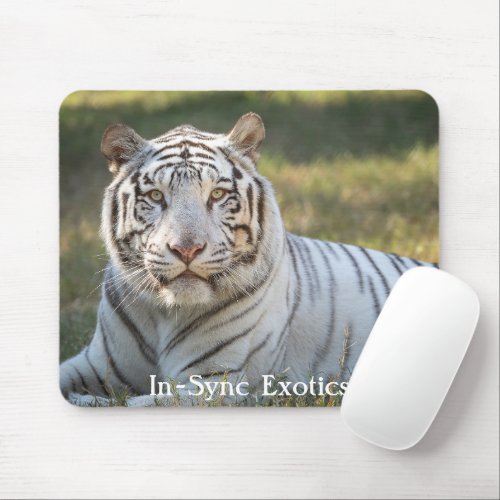 Gus _ mouse pad