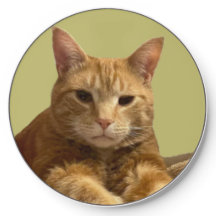 Gus The Cat Wireless Charger