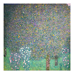 Gustav Klimt - Rosebushes under the Trees Photo Print