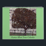 Gustav Klimt Trees Artwork Calendar<br><div class="desc">Classic artworks that have passed into the public domain and make wonderful gifts and other products. 14 paintings, including: Front Cover: The Apple Tree January: Orchard February: Birch Forest March: Roses Under the Trees April: Lakeside with Birch Trees May: Beech Grove June: Apple Tree July: Pear Tree August: The Park...</div>