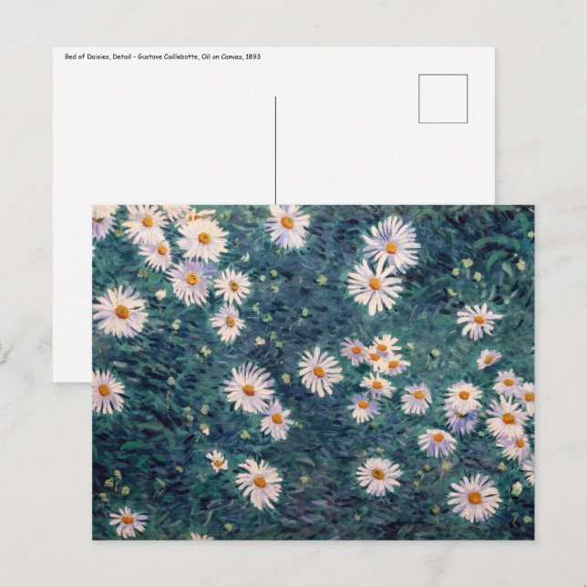 Gustave Caillebotte - Bed of Daisies, Detail Postcard (Front/Back)