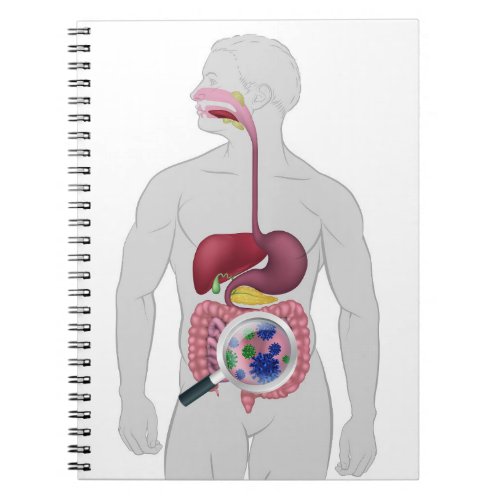 Gut Bacteria Digestive System Probiotic Flora Notebook