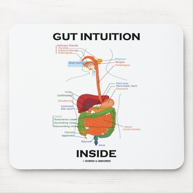 Gut Intuition Inside Digestive System Humor Mouse Pad (Front)